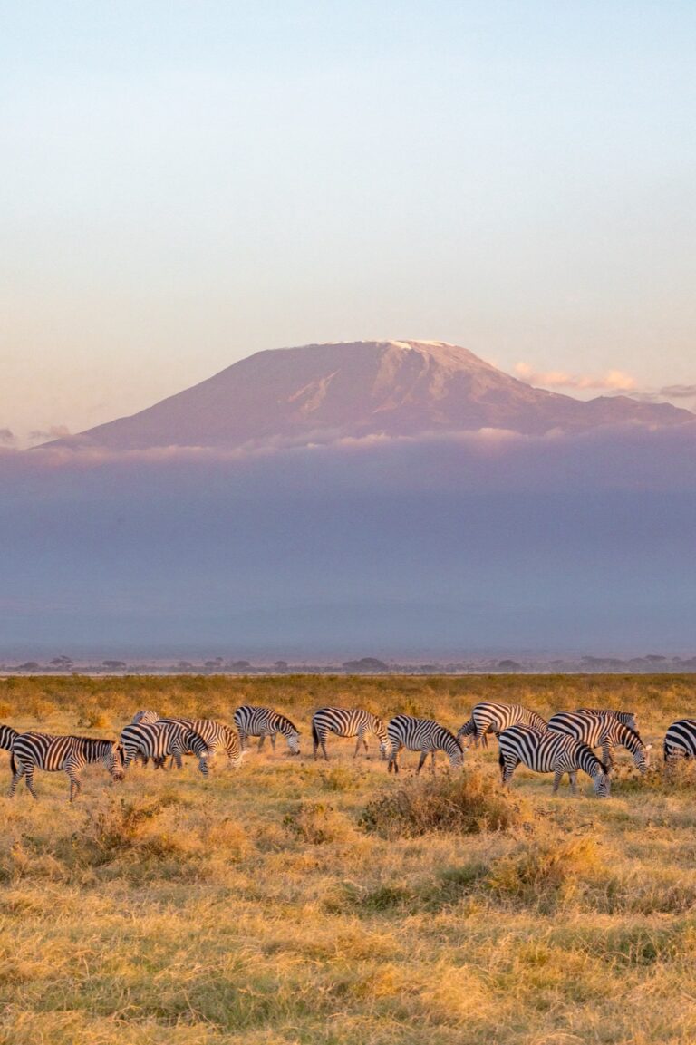Kenya