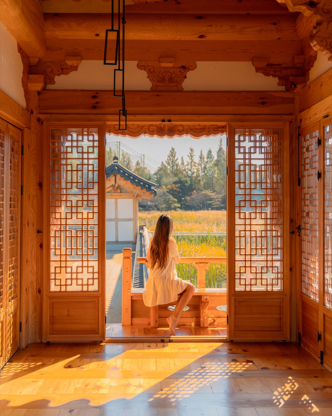 Woman sitting inside Jeonju Deokjin Library looking out through traditional wooden latticed doors at fall foliage in Jeonju, South Korea
