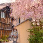 Where to See Cherry Blossoms in Kyoto: The Best Sakura Spots and When to Go