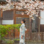 The Most Photogenic Spots in Kyoto: A Visual Guide to the City’s Best Views