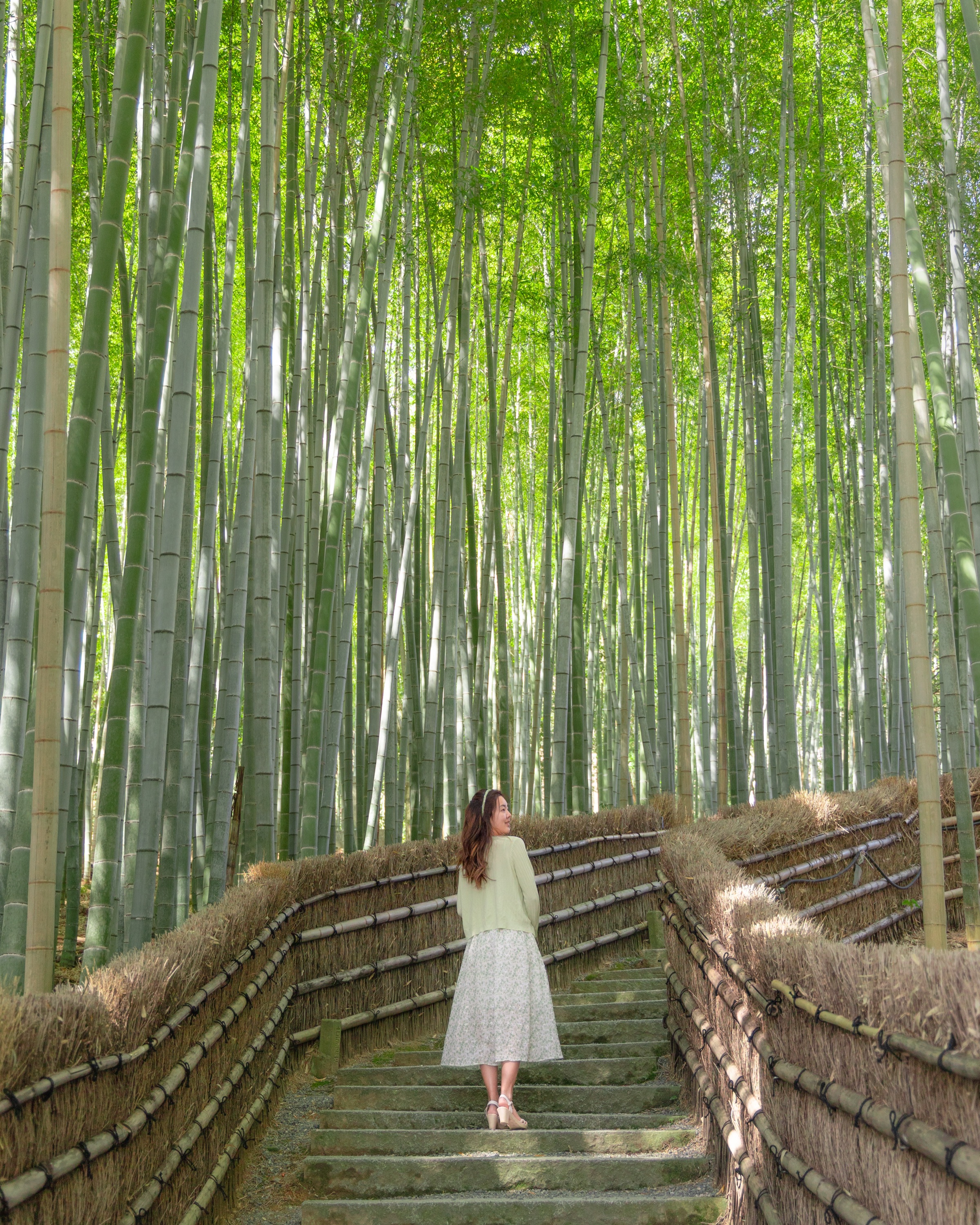 Woman standing in the towering Arashiyama Bamboo Grove in Kyoto with green light coming through the bamboo