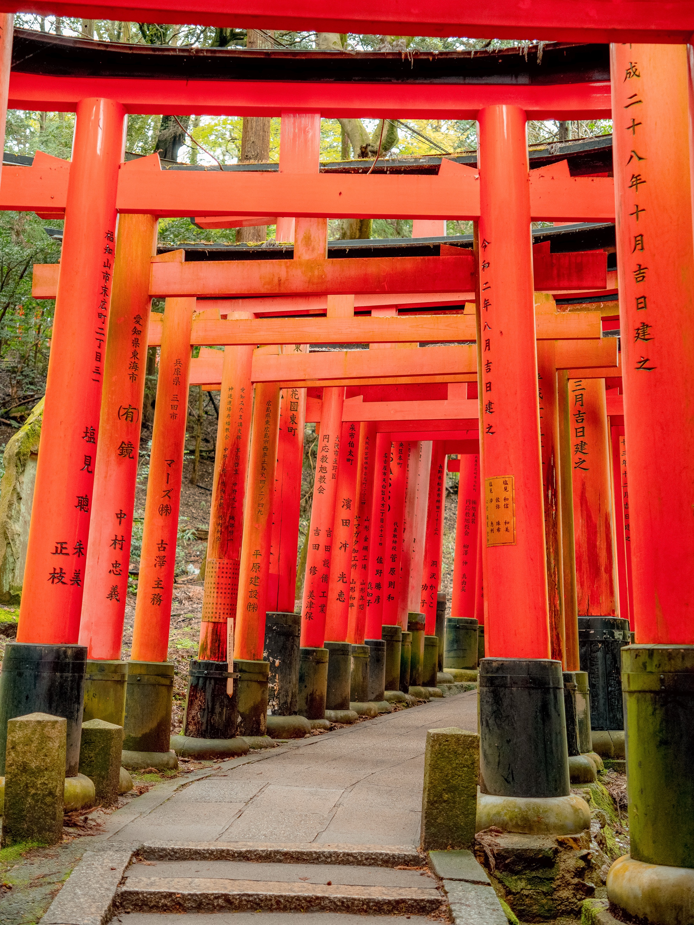 Torii gates winding through the forested mountain trail at Fushimi Inari Shrine in Kyoto