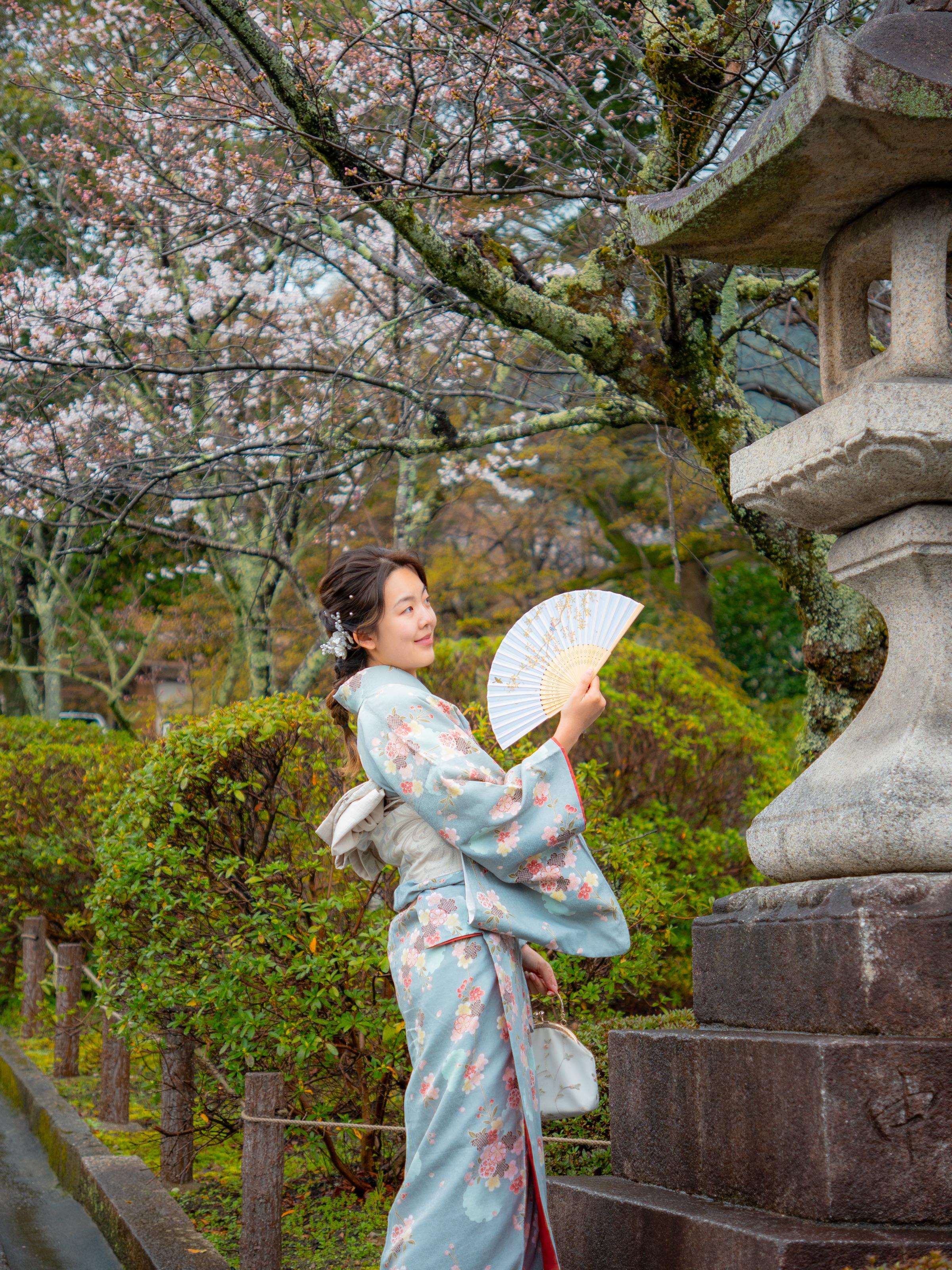 Woman in blue kimono holding paper fan beneath cherry blossoms
