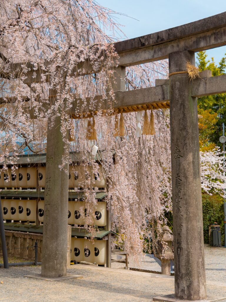 Stone torii gate framed by cherry blossoms at Oishi Shrine in Kyoto