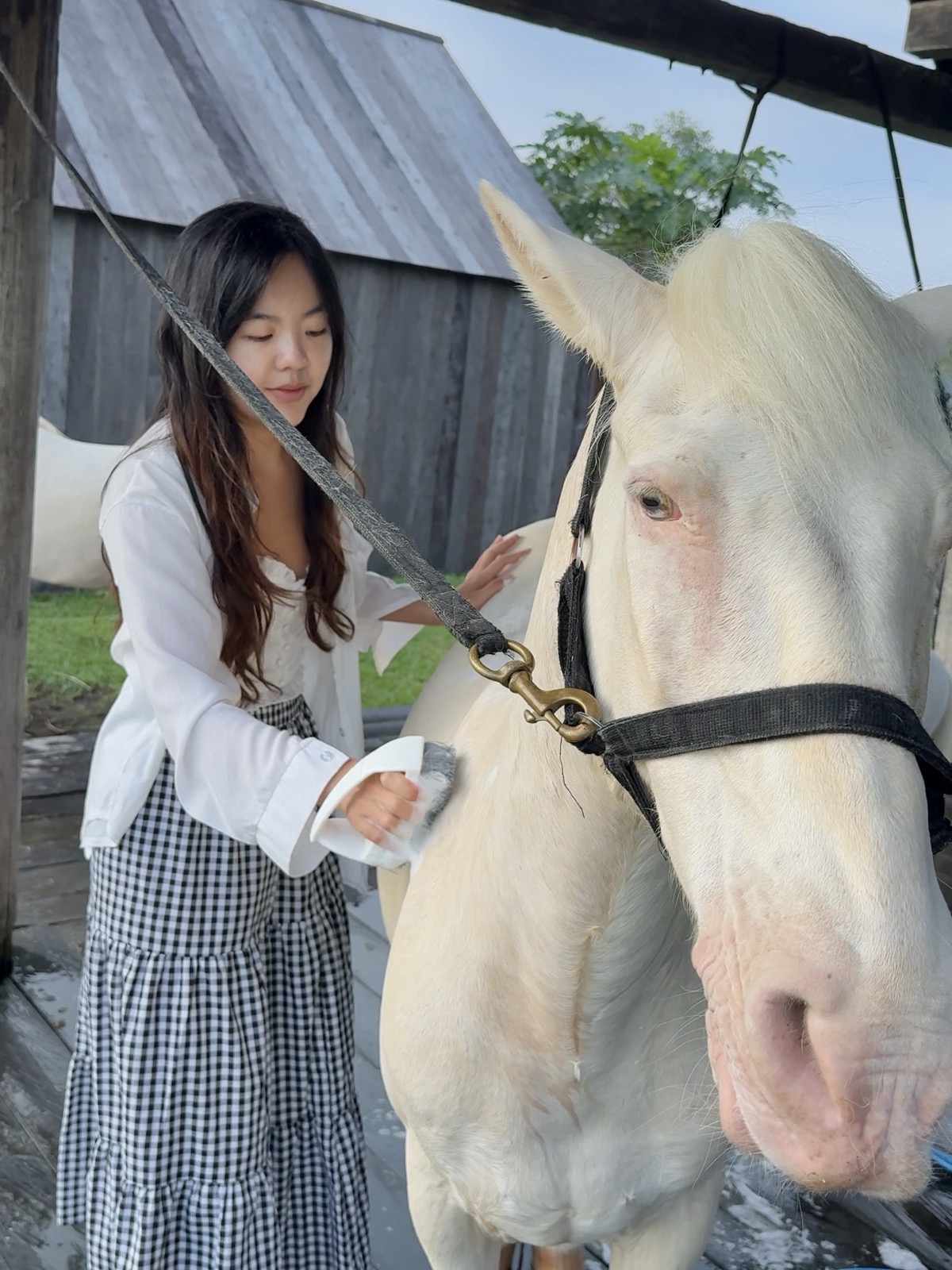 Morning white-horse photo session at Lodge in the Woods, Bali