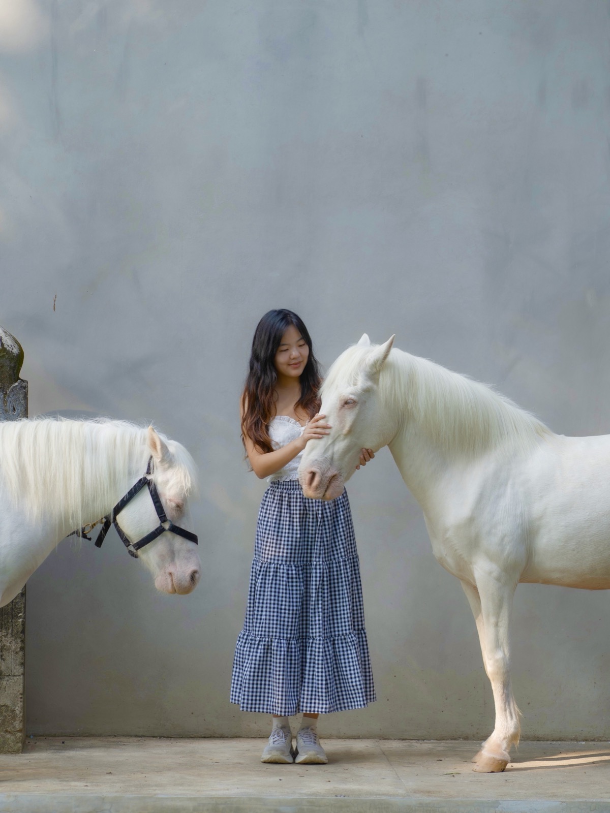 Lodge in the Woods Bali: White Horses, Rice Fields, & a Beautiful Farm Stay