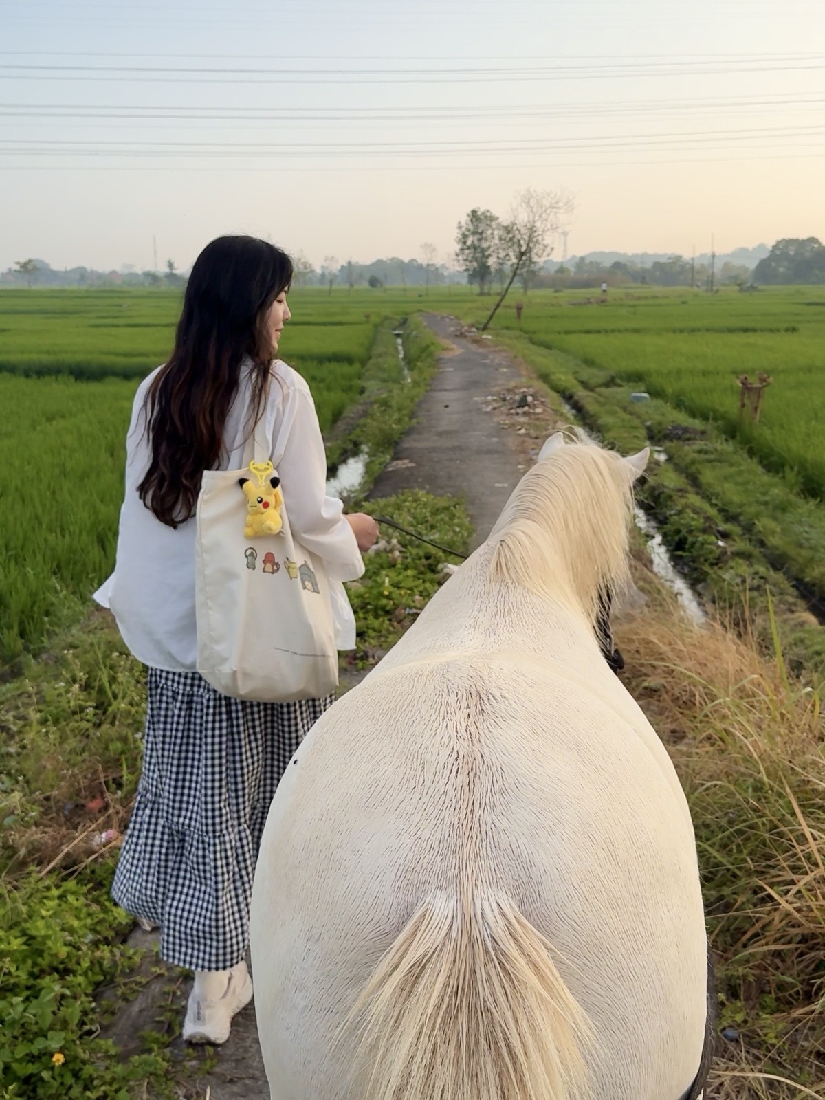 Horse walk through rice fields at Lodge in the Woods in Bali