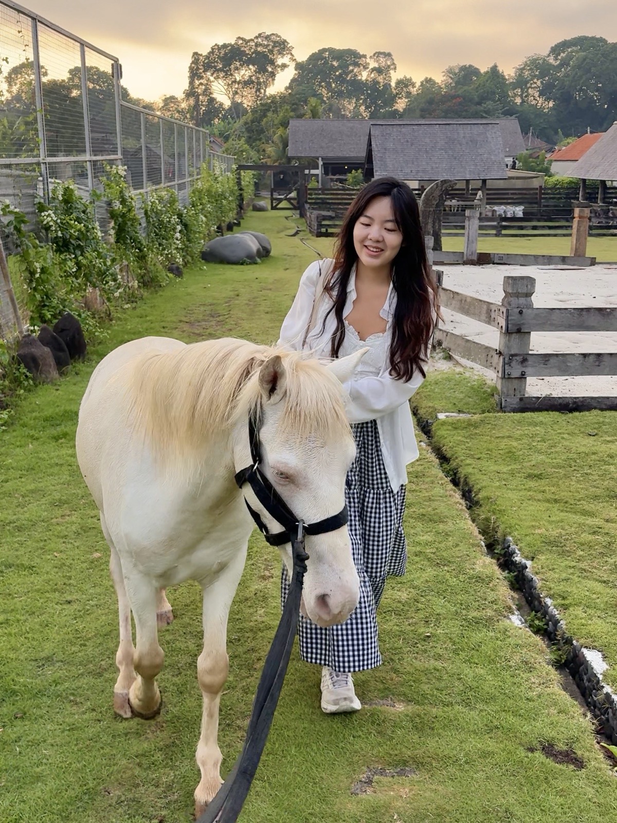 Walking a horse at Lodge in the Woods in Kaba-Kaba, Bali