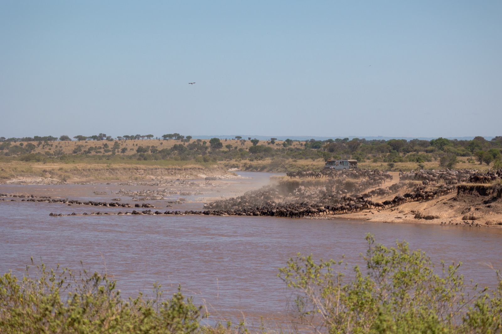 northern serengeti wide great migration river crossing